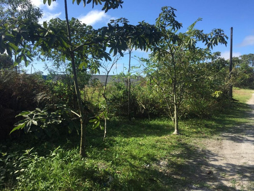 Imagem 12 de 14 de Terreno Para Venda Em Itapoá, Balneário São José - Lflh - 07_1-1539357
