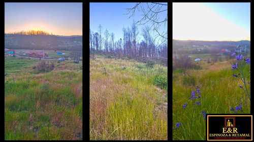 Terreno Sector Las Arenitas , Santa Juana (67674)