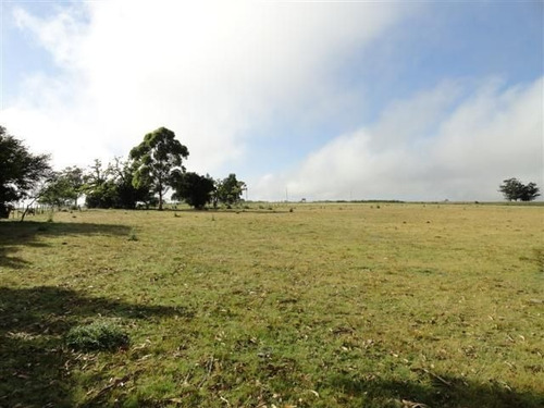Quinta En Venta De 2 Dormitorios En Puntas De José Ignacio