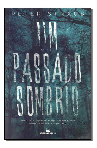 Libro Um Passado Sombrio De Straub Peter Bertrand Brasil