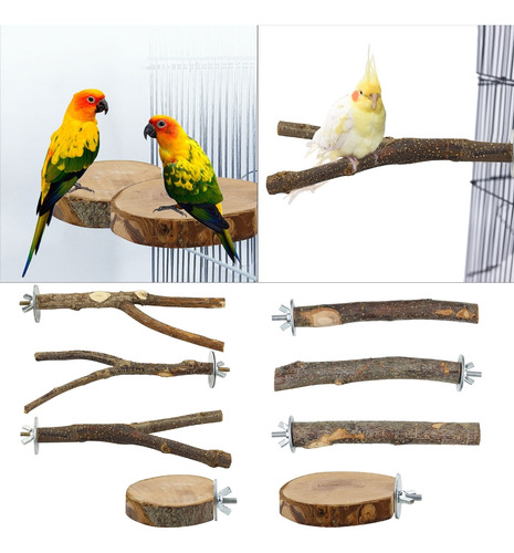 Parrots Perches Stand Bird Play Gimnasio Juguete Periquitos