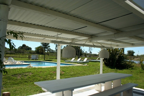 Imagen 8 de 30 de Quinta En Venta De 16 Dormitorios En Golf De La Barra (ref: Atm-2521)