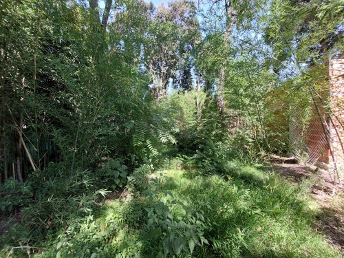 Imagen 4 de 7 de Lote A La Venta En La Reja.