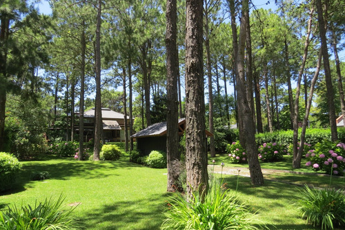 Hermoso Lote - Zona Tridente - De Las Musas - Parquizado - 712 M²