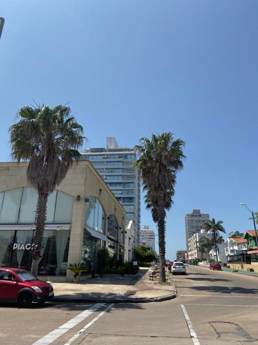 Imagen 26 de 27 de Departamento - Punta Del Este