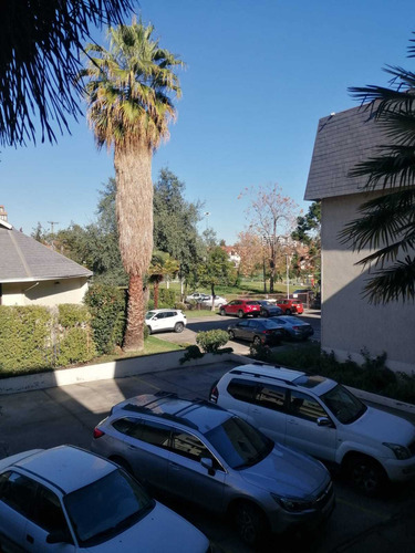 Balaguer / Quinchamalí, Excelente! (107481)
