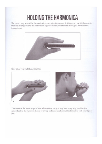 Harmonica For Kids: A Beginner's Guide With Step-by-step Ins