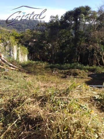 Imagem 5 de 11 de Terreno Para Venda, 2000.0 M2, Granja Viana - Cotia - 23314