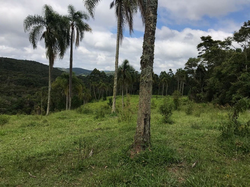 Imagem 3 de 6 de L22- Vendo Meu Terreno De 1.000m²