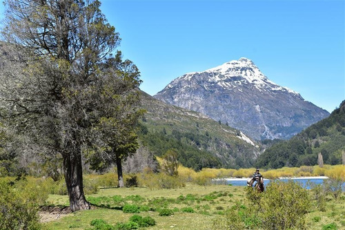 Sitio En Venta En Palena
