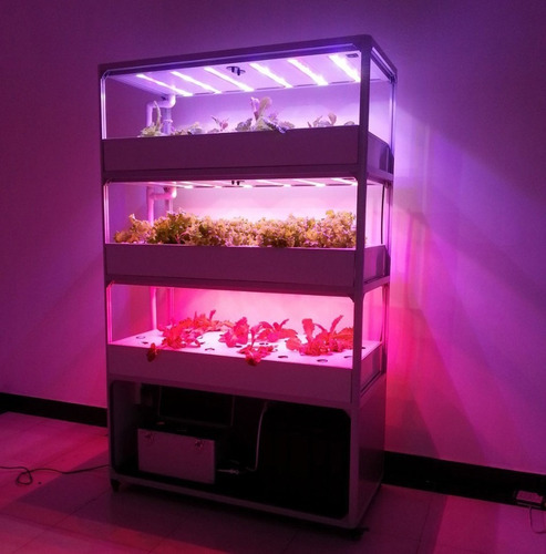 Imagen 8 de 10 de Ph Menos 100cc Namaste Nutrientes Cogoshop Grow