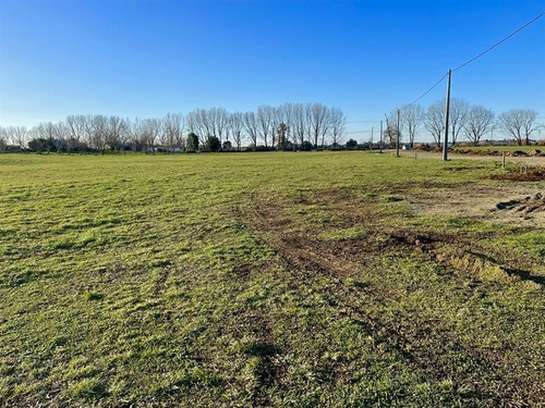 Imagen 3 de 12 de Sitio En Venta En Osorno