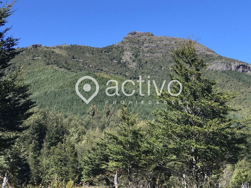 Predio Forestal Con Orilla A Río Huichahue