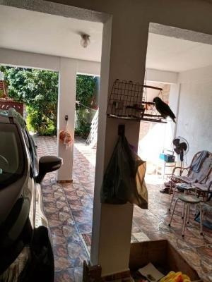 Imagem 13 de 14 de Casa Na Praia Com 3 Quartos Em Itanhaém/sp 7064-pc