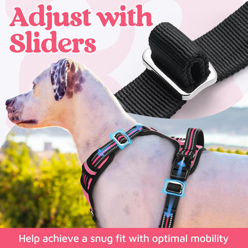 Arnés Para Perro Rabbitgoo, Sin Tirones, Ajustable, Mediano
