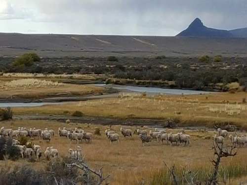 Campo - Precordillera De Santa Cruz