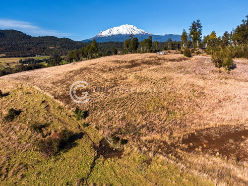 Imagen 18 de 20 de Parcelas Cercanas A Puerto Varas - Entre Volcanes