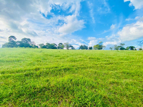 Imagem 3 de 12 de M35 Super Promoção De Terreno Em Atibaia Leia A Descrição!