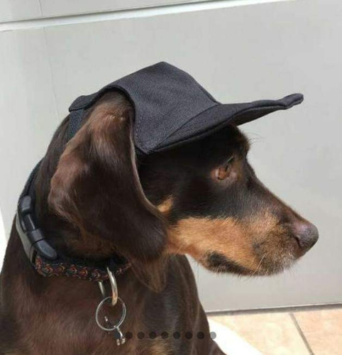 Ropa Para Perro. Gorro Para Perro Perra Todos Los Talles