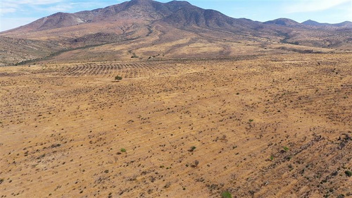 Venta Terreno De 11 Ha En Higueritas Unidas, Ovalle
