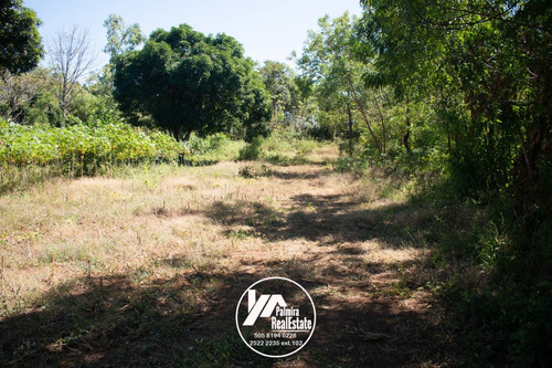 Imagen 5 de 11 de Venta De Finca Agricola En Masaya