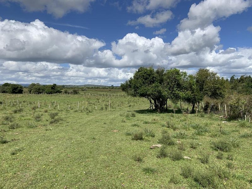 10 Has De Campo Sobre Ruta 13 A Minutos De Aiguá. Un Lugar De Descanso Ideal!