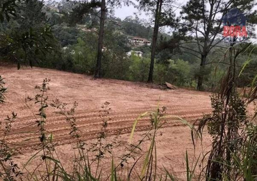 Imagem 6 de 17 de Terreno À Venda, 21405 M² Por R$ 1.200.000 - Campos De Mairiporã - Mairiporã/sp - Te0202
