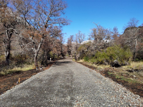 Terreno 5.000 M2, Sector Caracoles, Malalcahuello