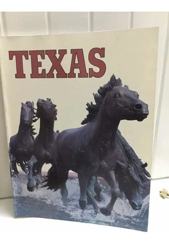  Texas State Travel Guide     Libro