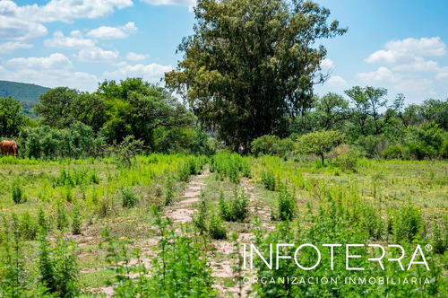 Imagen 7 de 14 de Lote En Venta Calamuchita Vista De San Ignacio