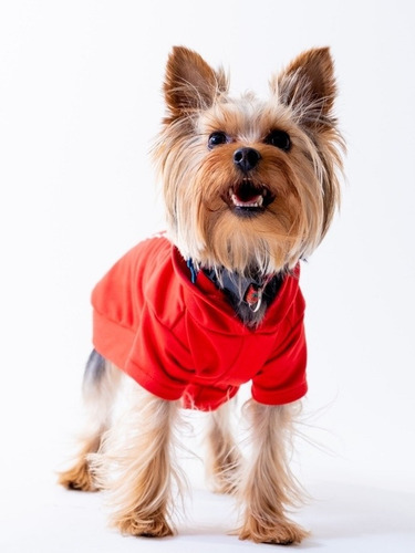 Sudadera Ropa Suéter Perros, Gatos Mascotas Razas Pequeñas