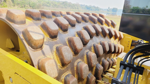 Caterpillar