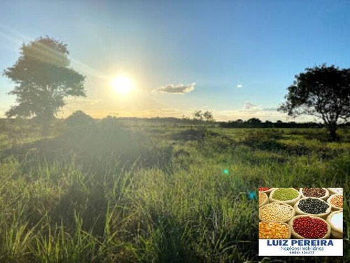 Imagem 4 de 15 de Fazenda A Venda No Formoso Do Araguaia-to-de 240 Alqueirões (dupla Aptidão) - 1669