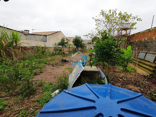 Imagem 8 de 26 de Terreno Com 550m² À Venda No Bairro Cajuru, Excelente Para Moradia Ou Investimento, Próximo A Rua Dos Ferroviários. - Te00160 - 71151119