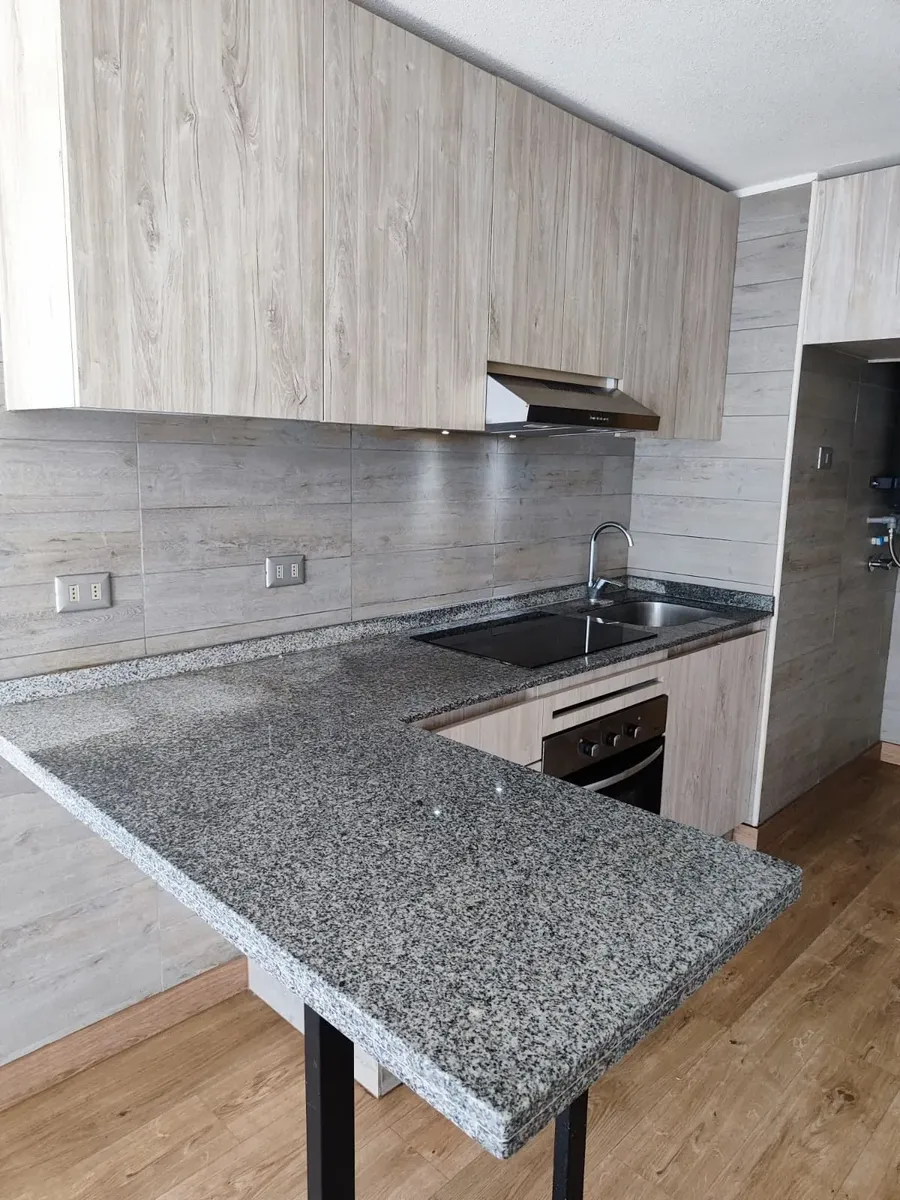 Imagen 5 de 19 de Arriendo Departamento 1d 1b Toro Mazote 150 Est Central