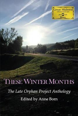 Libro These Winter Months : The Late Orphan Project Antho...