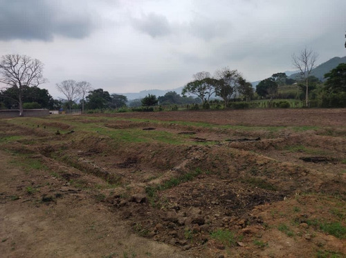 Finca En Bejuma Camino Verde