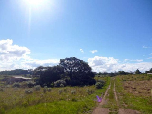 Imagem 7 de 13 de Chácara Em São José Dos Pinhais - 0828 - 3399849