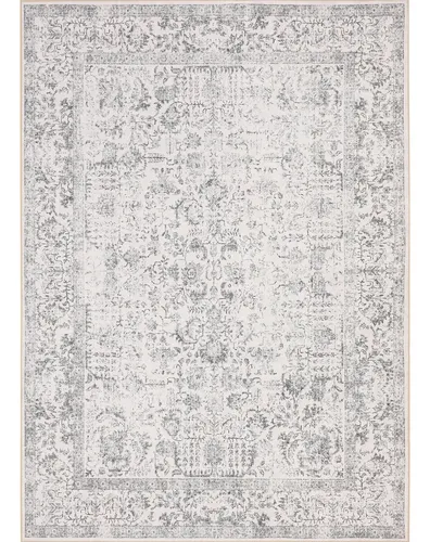 Purecozy Alfombra Gris De 3 X 5 Pulgadas, Alfombra De Entrad