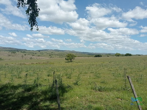 Imagen 17 de 20 de Vendo Chacra 5 Hectateas Con Casa En Ruta 39, Las Cañas - Las Cañas Las Cañas
