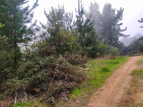 Sitio En Venta De 1500 M2 Camino A Puertecillo, Navidad