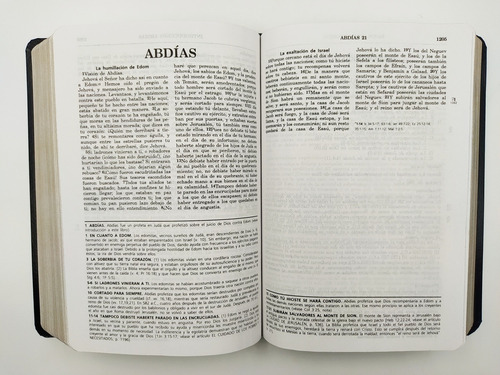 Imagen 5 de 9 de Biblia De Estudio Vida Plena Rvr-1960 Piel Especial Negro