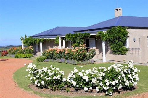Chacra De 9 Hectareas Con Vista Al Mar!!- Ref: 2267