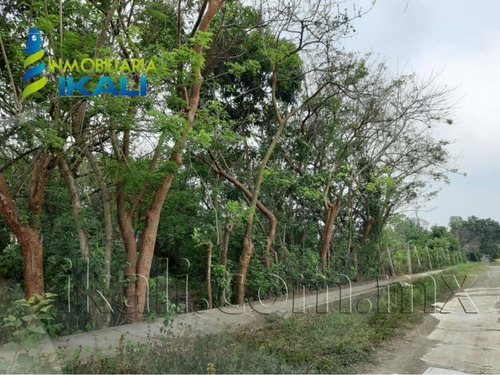 Imagen 1 de 10 de Terreno Comercial En Venta Primavera