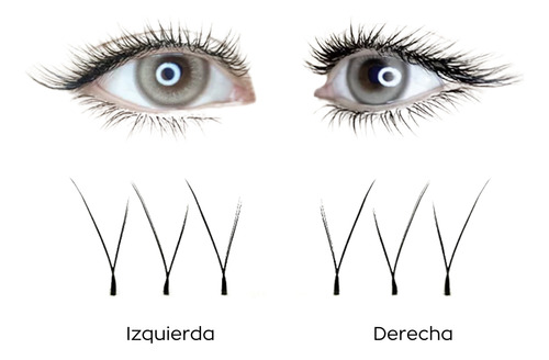Diyday Foxy Eyes Pestañas Yy 0,07 D Mix Para Efecto Foxy Eye Negro Izquierda 1.5 Cm 0.07 Mm