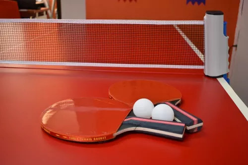 Juego De 2 Raquetas De Ping Pong Con 3 Pelotas Y Estuche