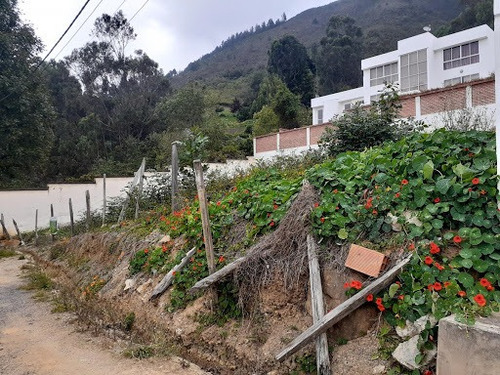 Imagen 15 de 20 de Lotes En Venta Pamplona 815-899