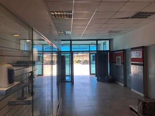 Imagen 20 de 23 de Nave Logística 11.000 M2 En Venta En Campana Sobre Autovía 6