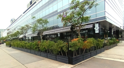 Jardinería, Mantenimientos, Atención A Consorcios Y Empresas