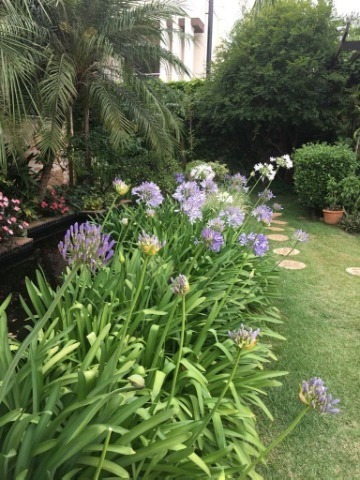 Imagem 6 de 30 de Casa Em Estilo Toscano - Jardim Paradiso - Indaiatuba - Ca01235 - 32805744